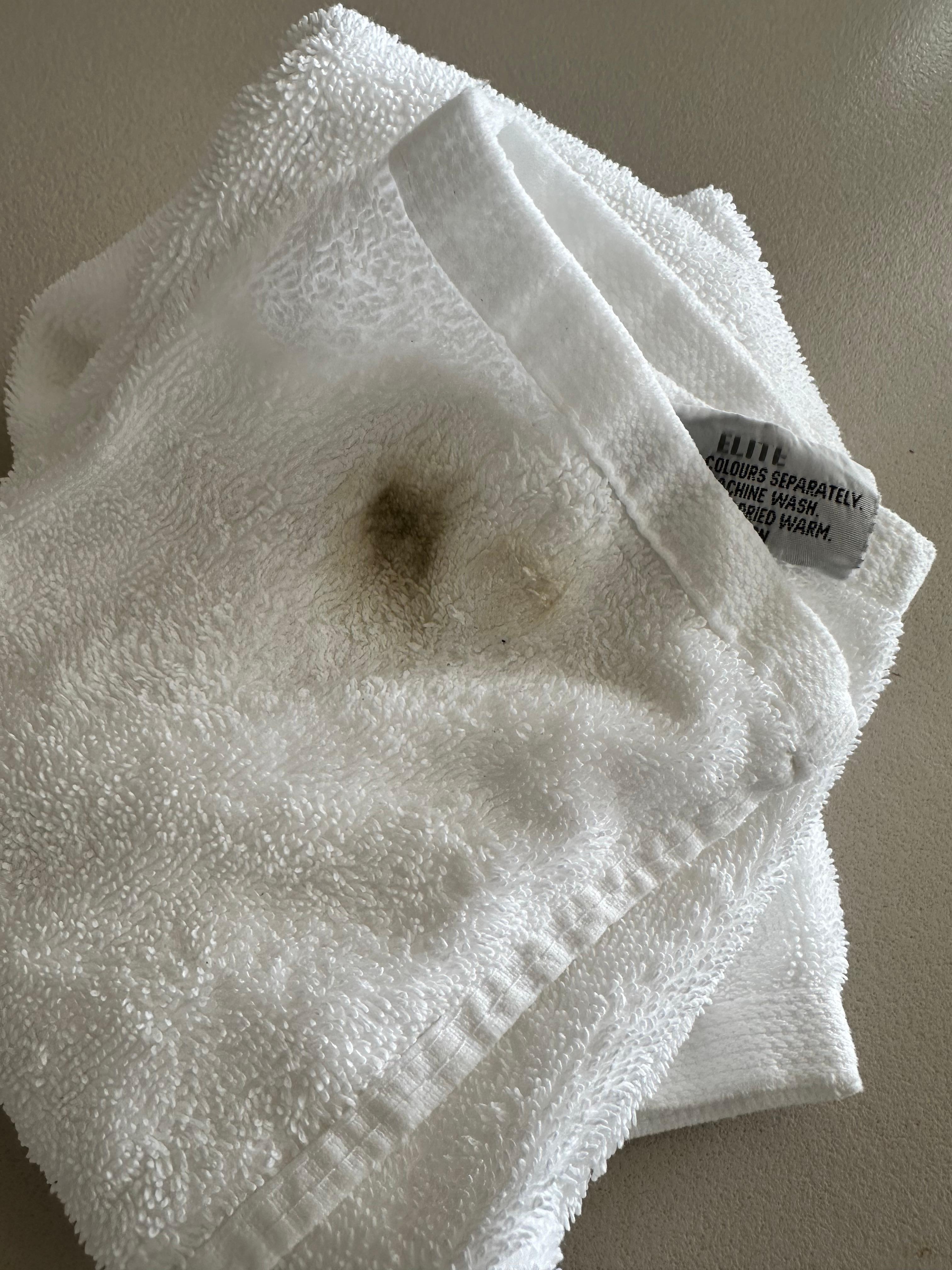 Wiped bathroom surfaces