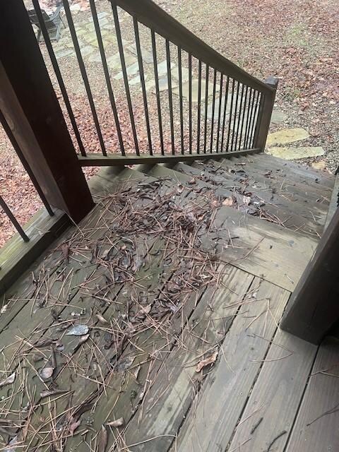 No one sweeps the steps. Wife did not want to walk out back door.