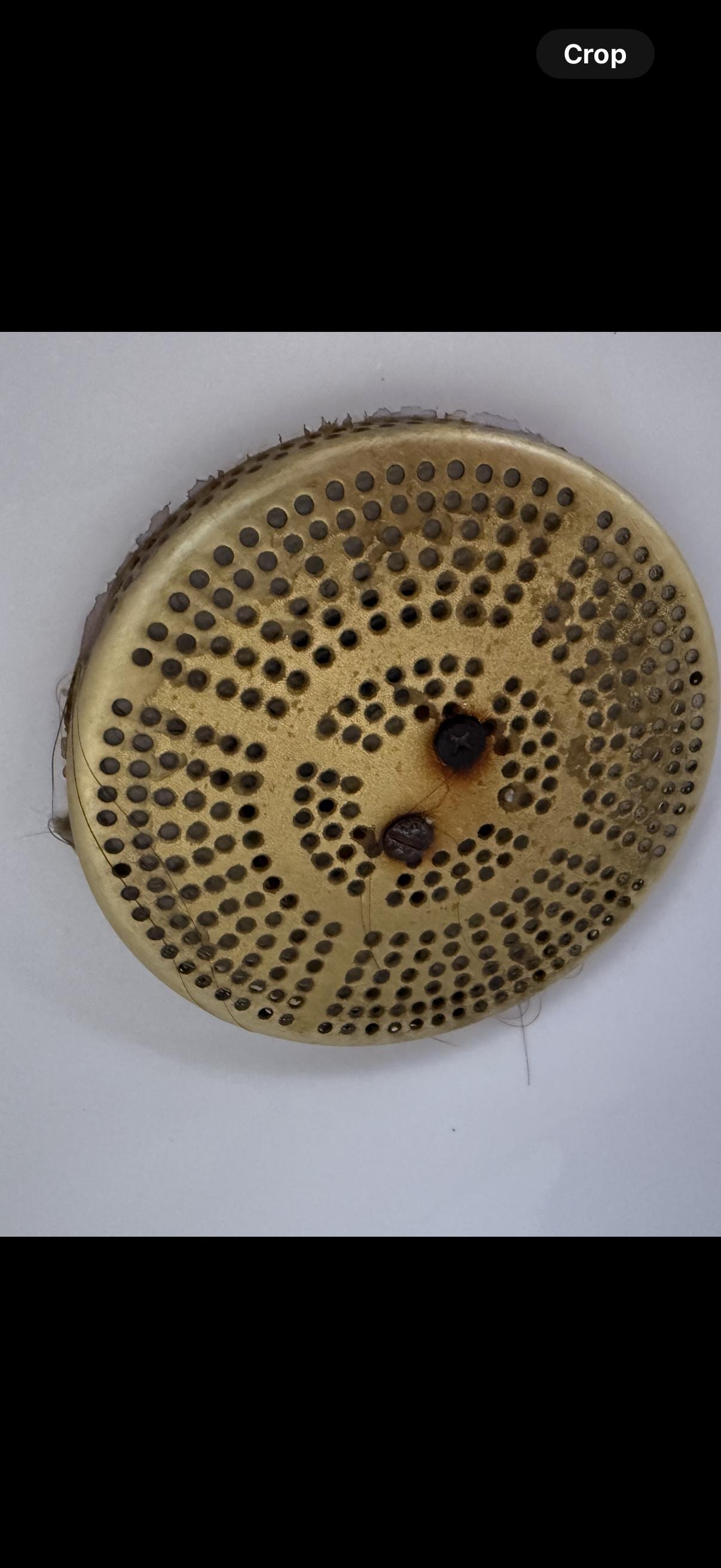 Water jet in jacuzzi full of gunk, hair and rust…..unusable