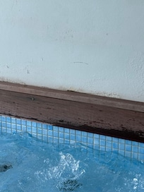 Cracks and mold at the “ presidential swim out”