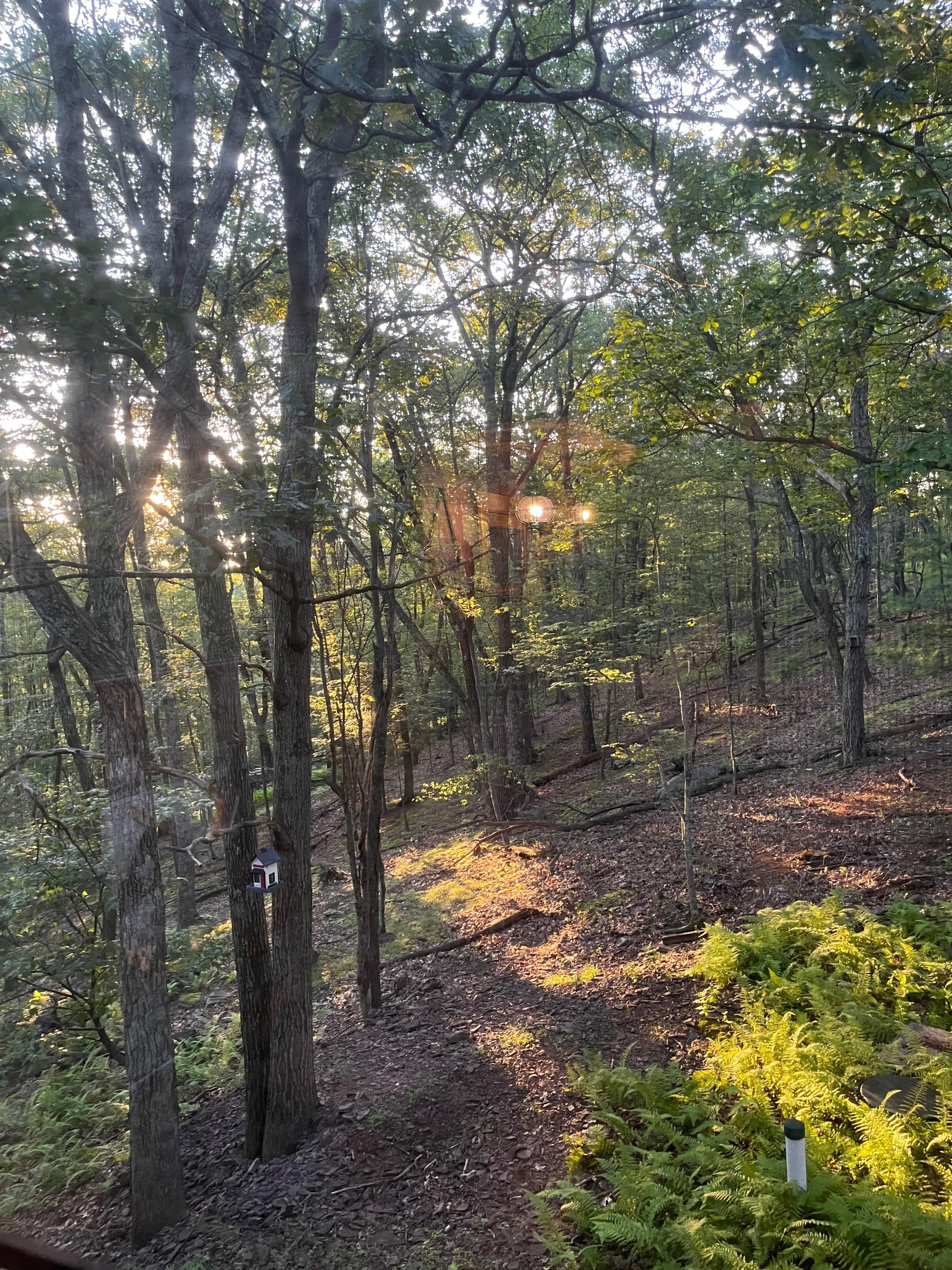 Sunrise from second floor deck. 