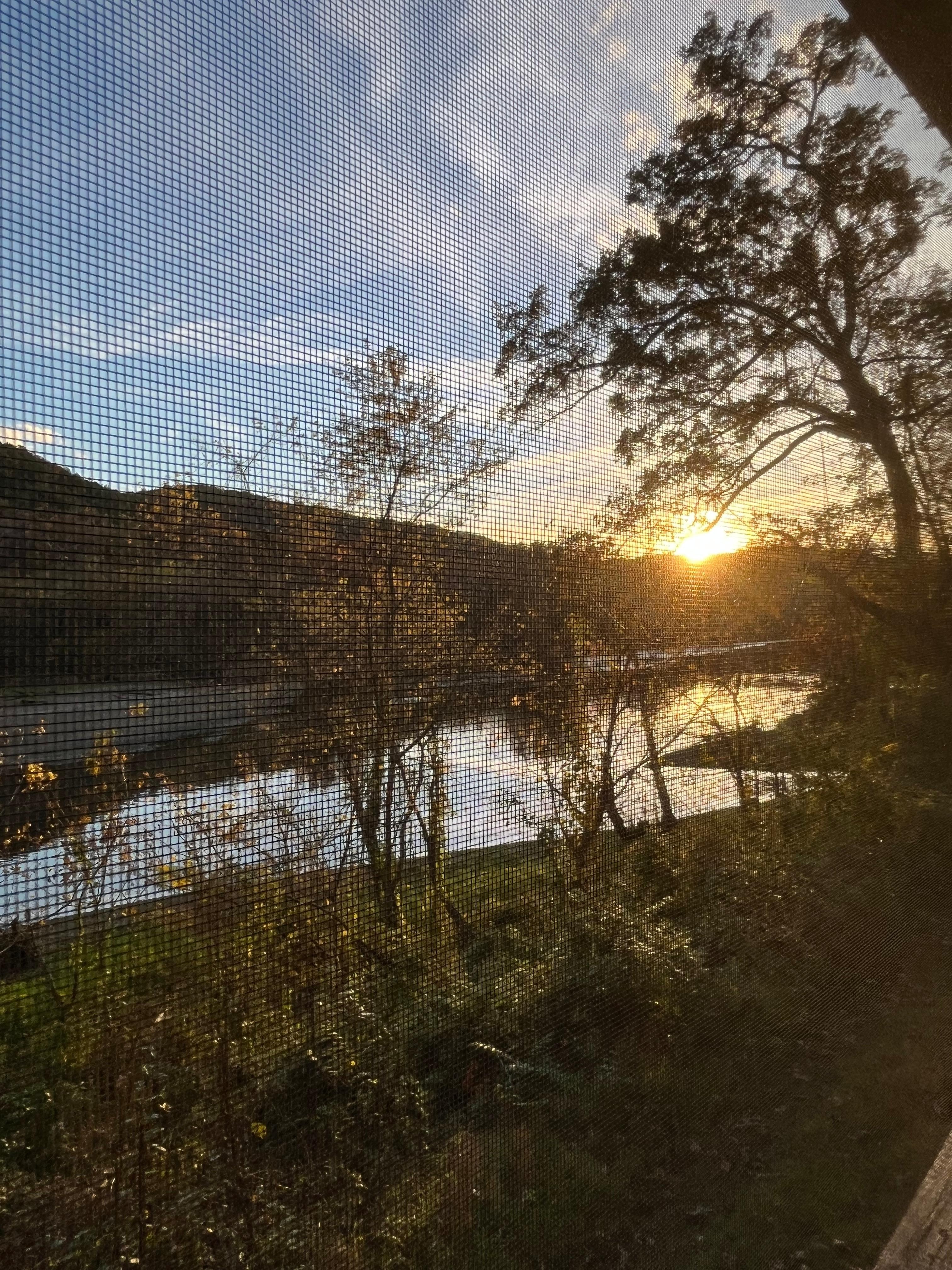 View from screened porch