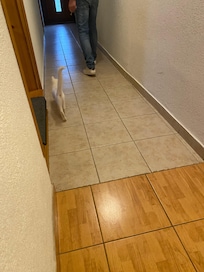 Nous avons eu un charmant ami durant notre séjour