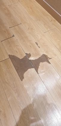 Sol étage