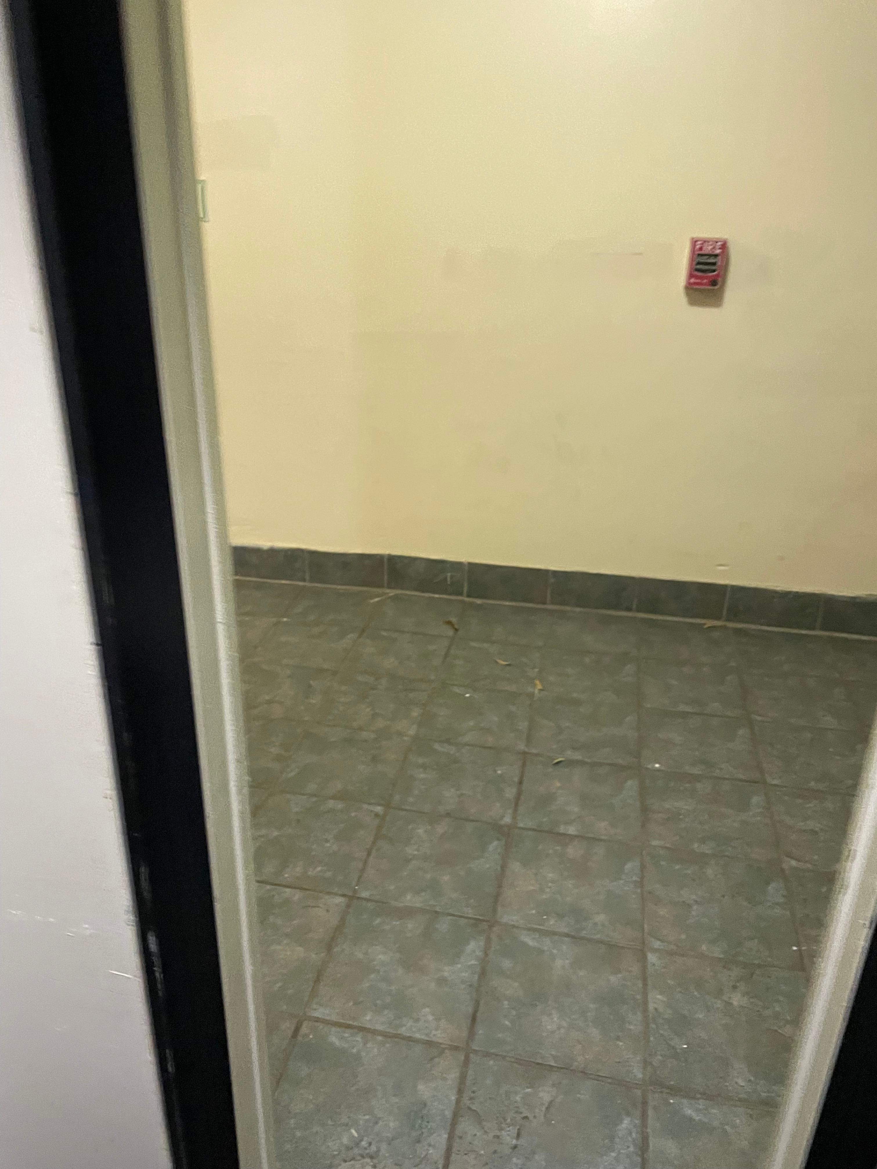 Tile floors cracking and flaking