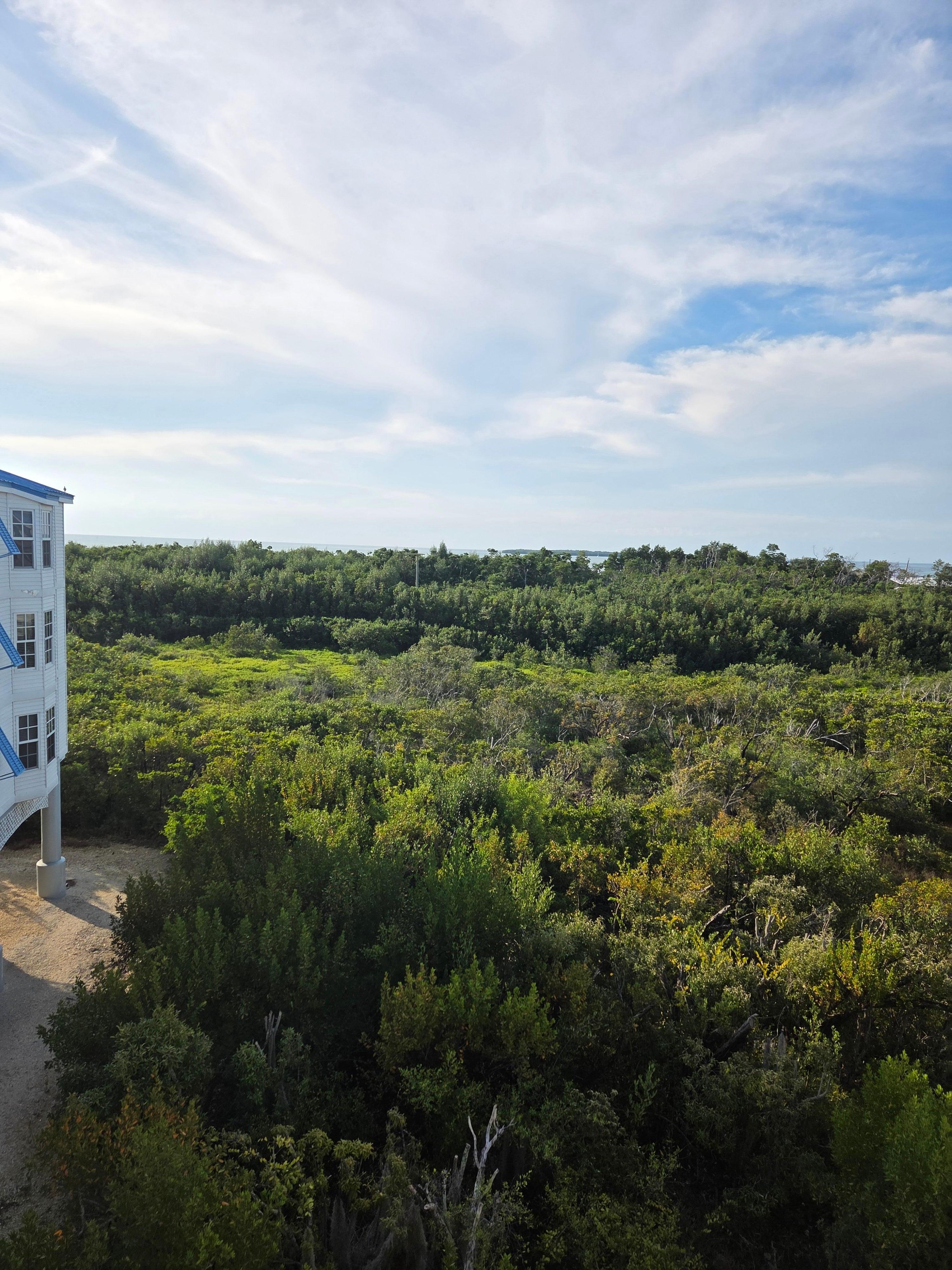 View from our balcony