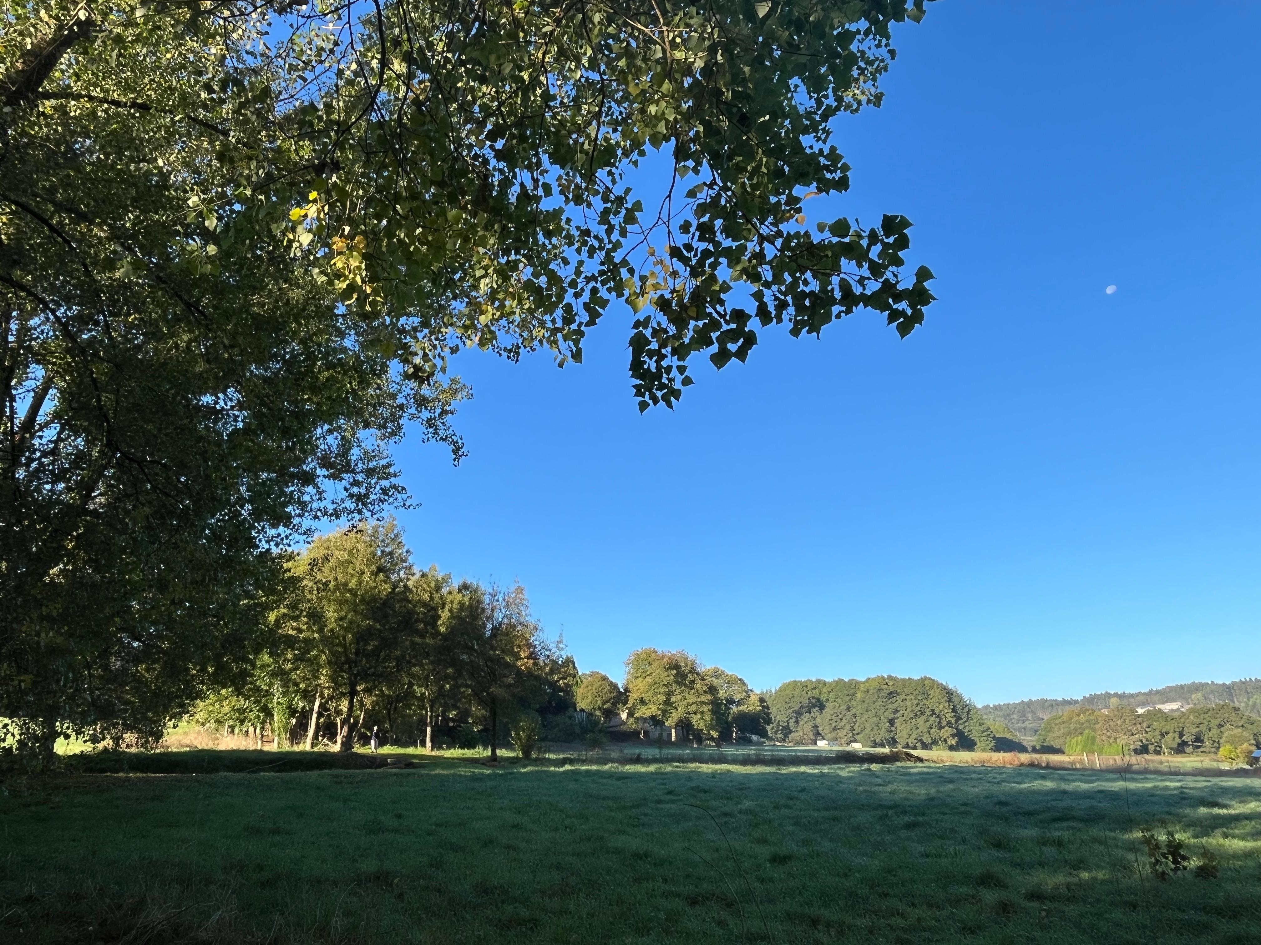 Que mañana perfecta