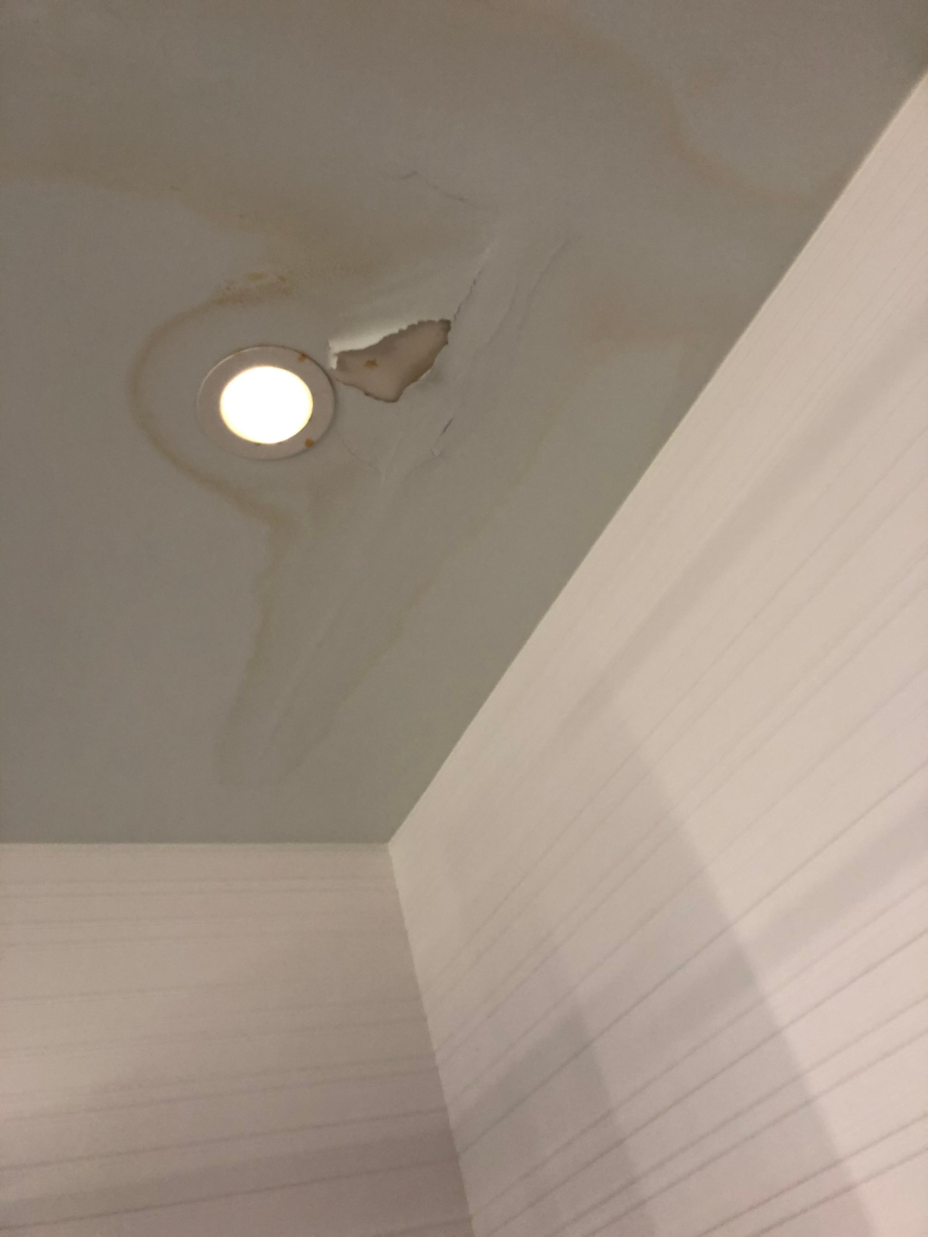 bathroom shower ceiling