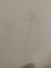 Mold and dirtiness on the walls