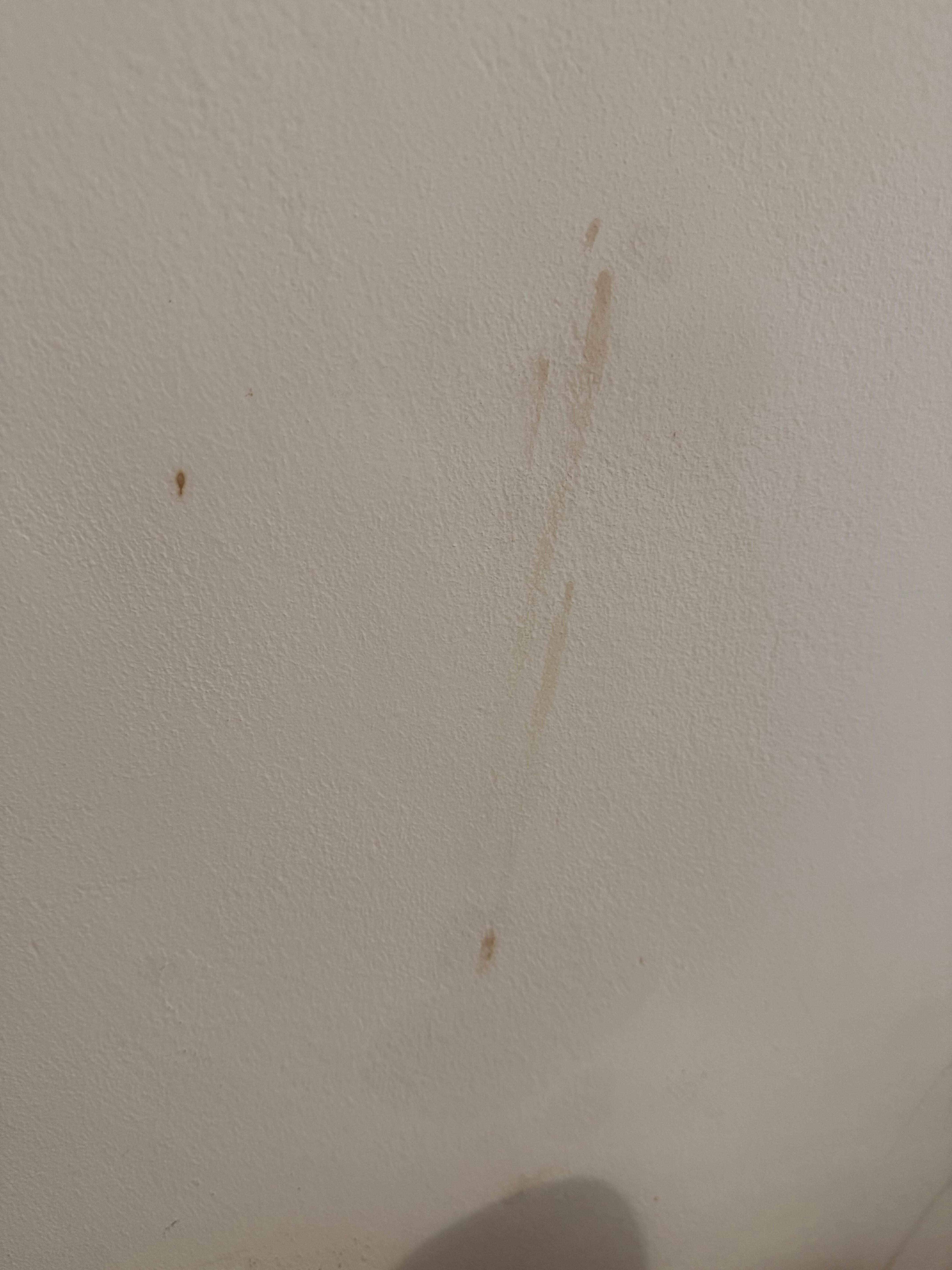Mold and dirtiness on the walls