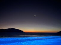 Views from inside pool after sunset