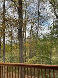 Deck view