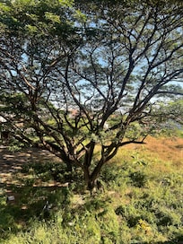 View from my balcony.