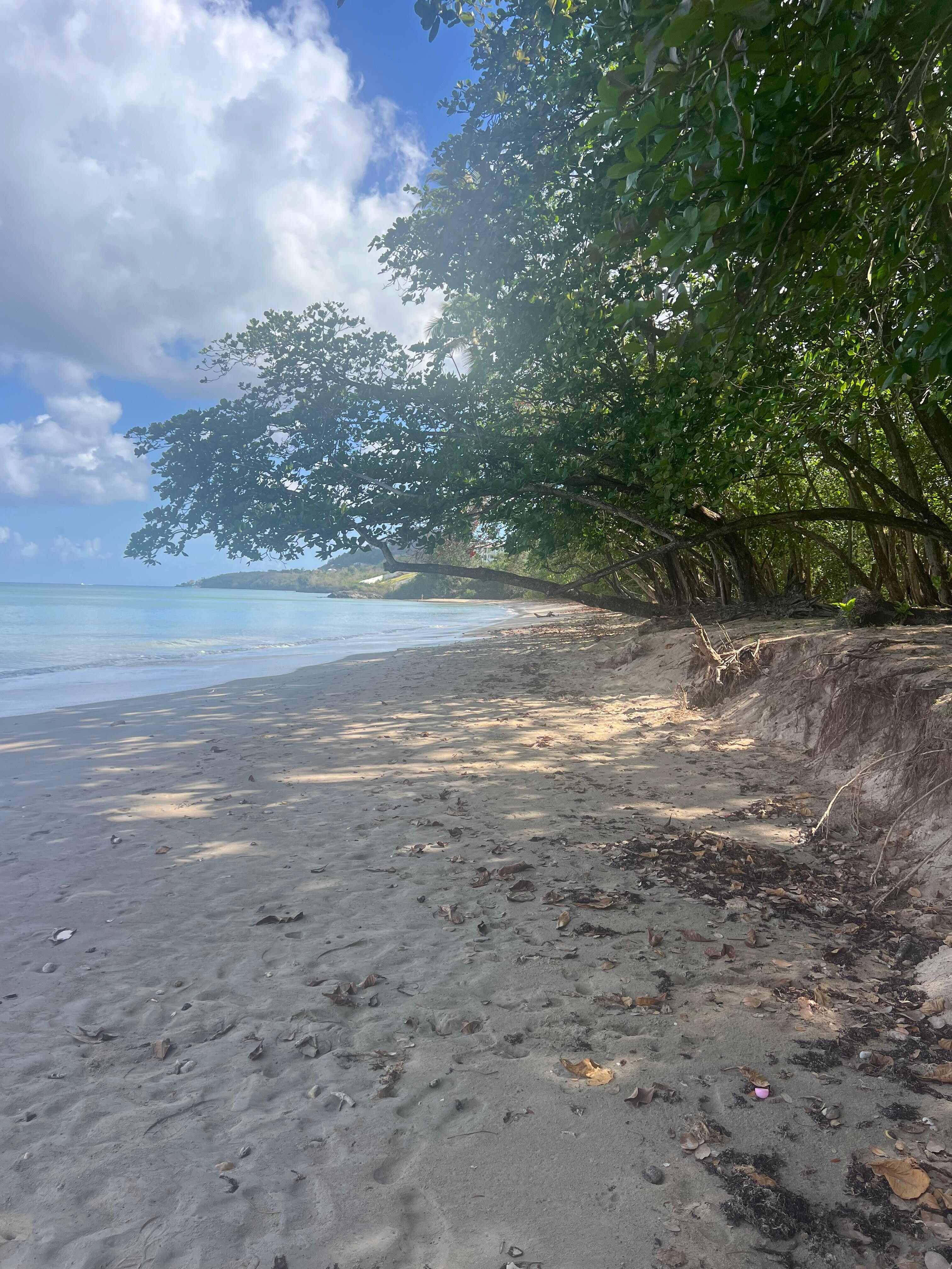 Beach at property