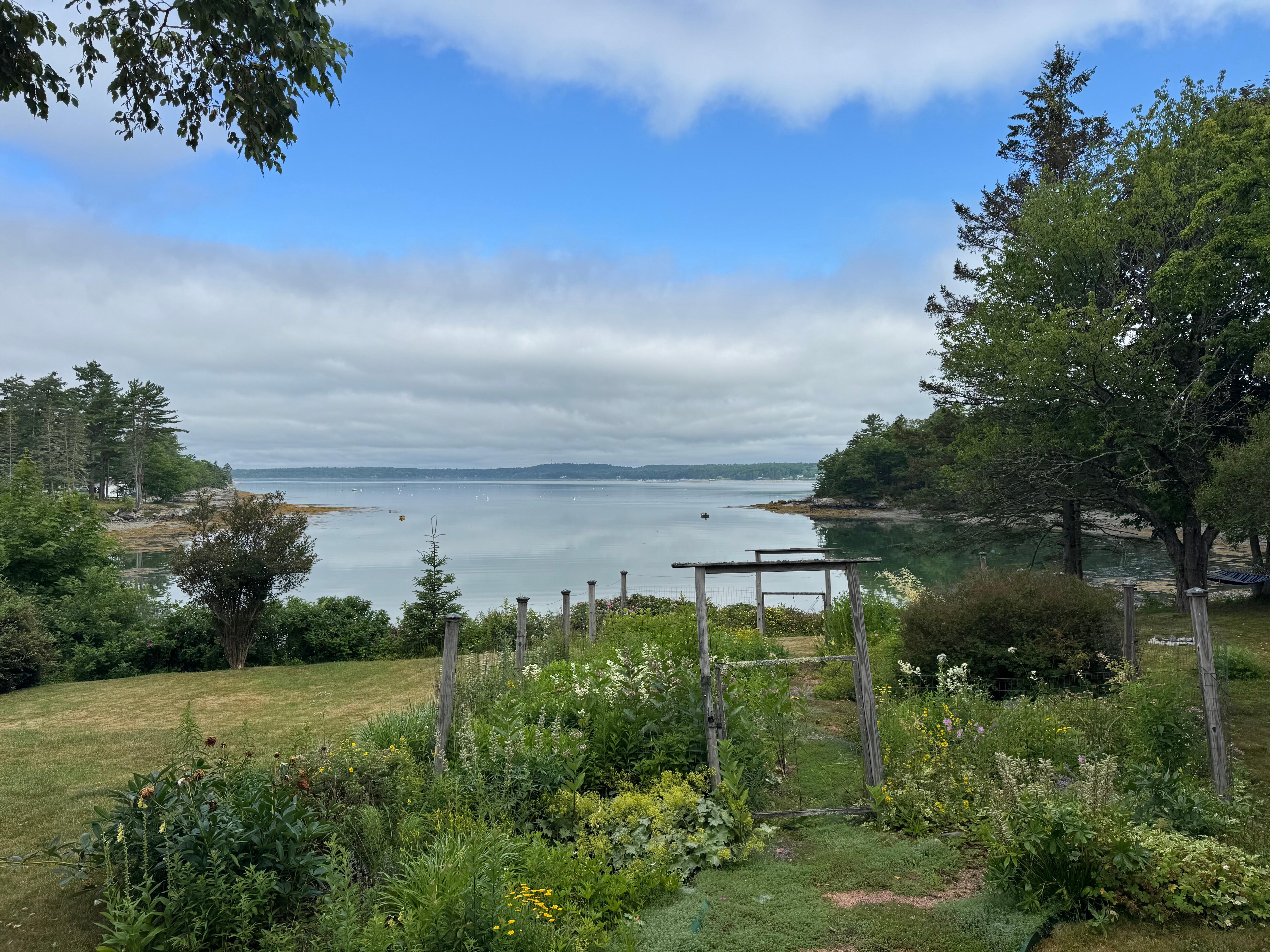 Perfect morning view!