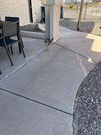 A very friendly roadrunner