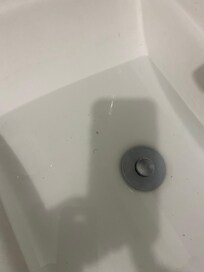Clogged sink