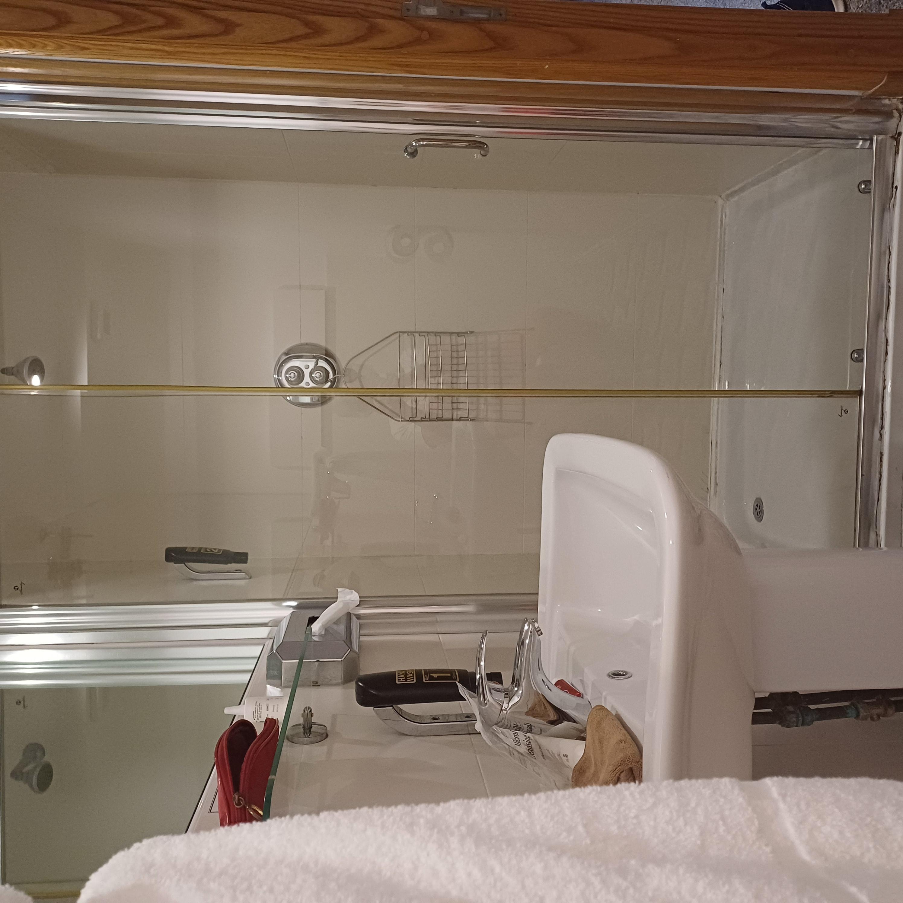 Walk-in double shower