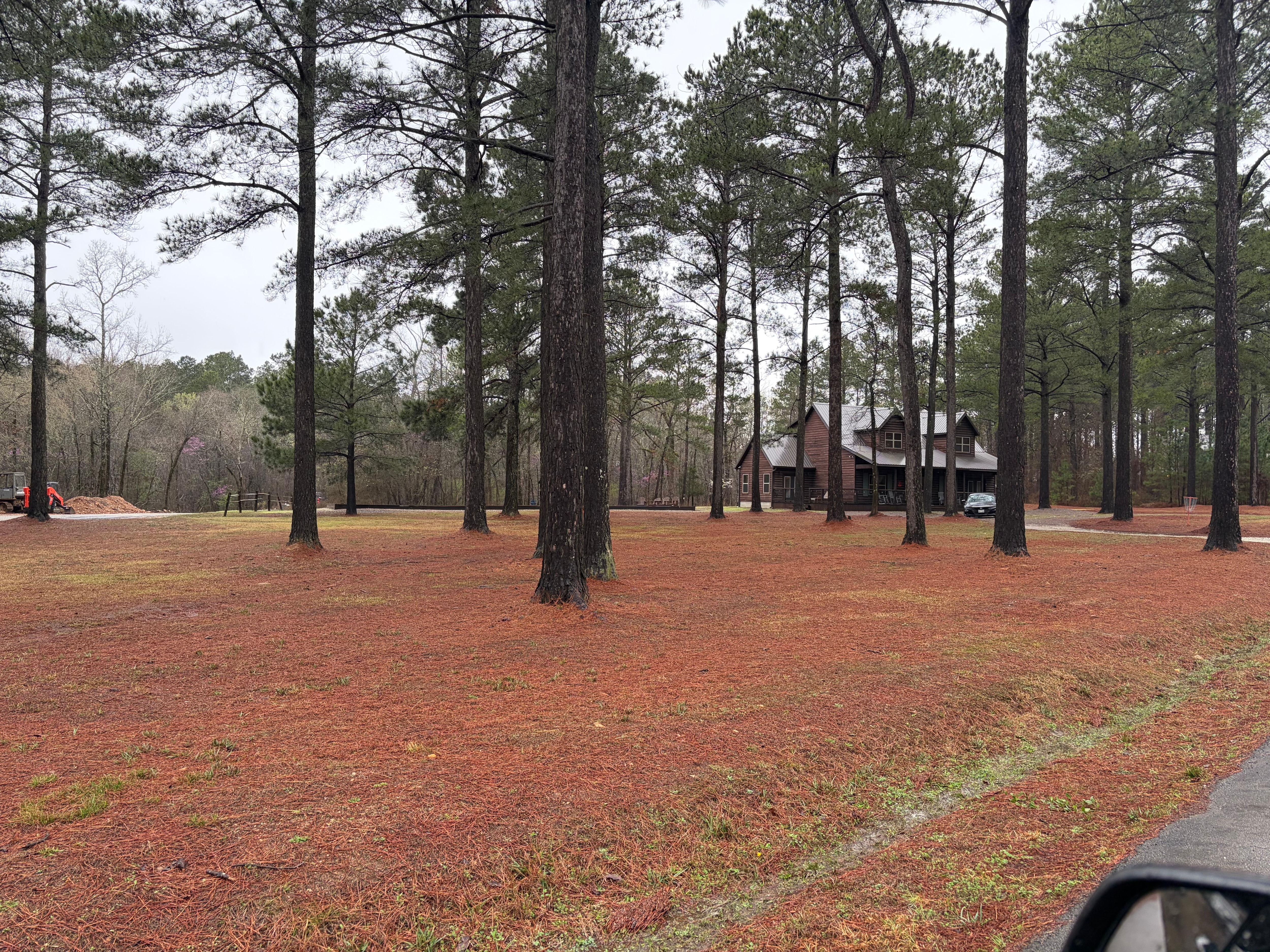 The cabin sits on a huge, corner lot. Playing disc golf was one of our favorite outdoor activities.
