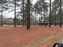 The cabin sits on a huge, corner lot. Playing disc golf was one of our favorite outdoor activities.