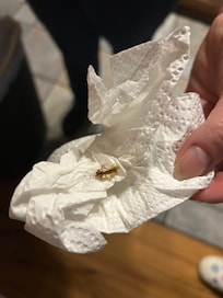 On of the friends we found amongst the 20-30 we killed