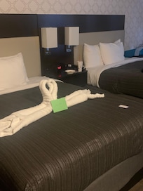 Queen Bed