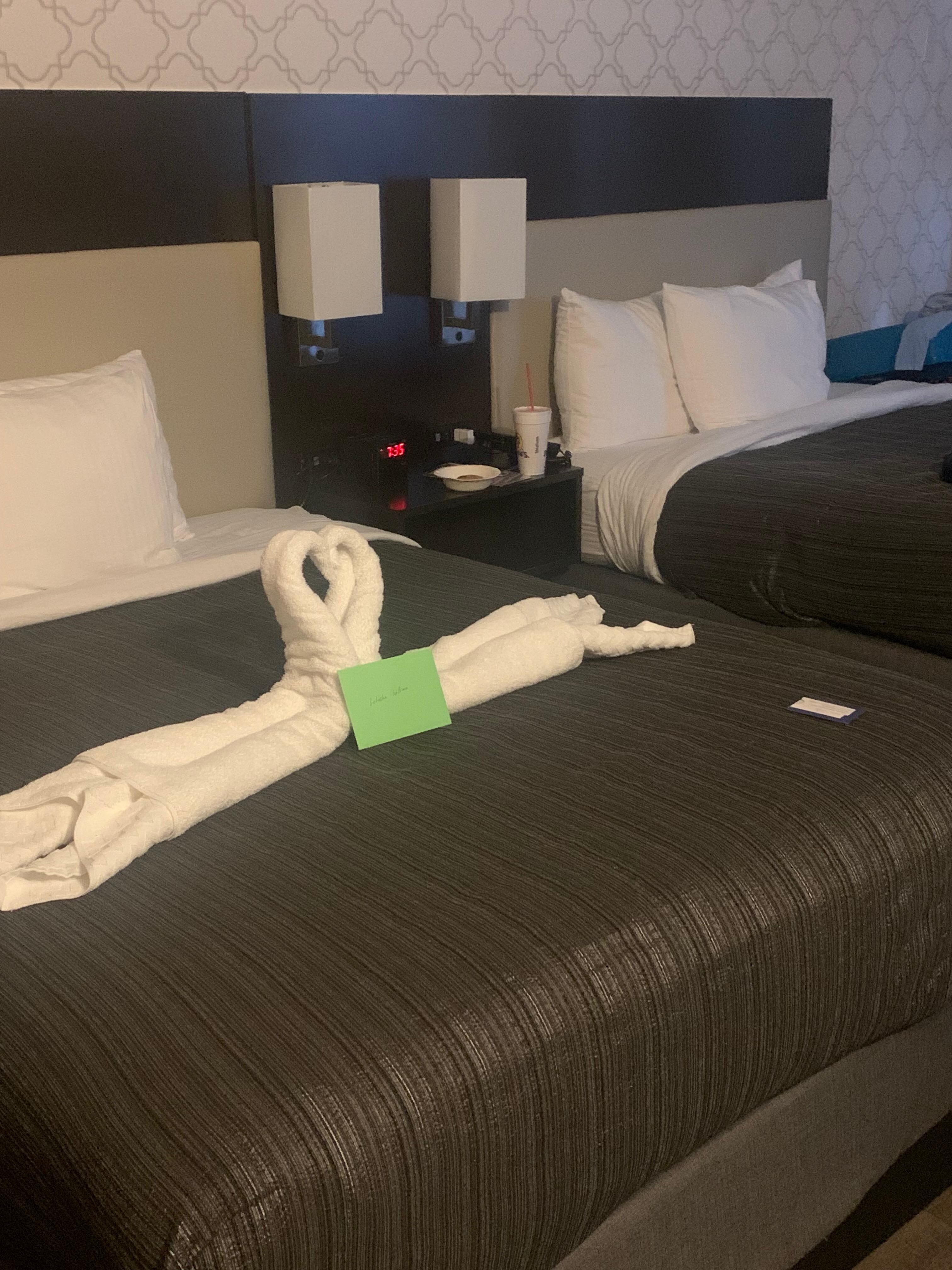 Queen Bed