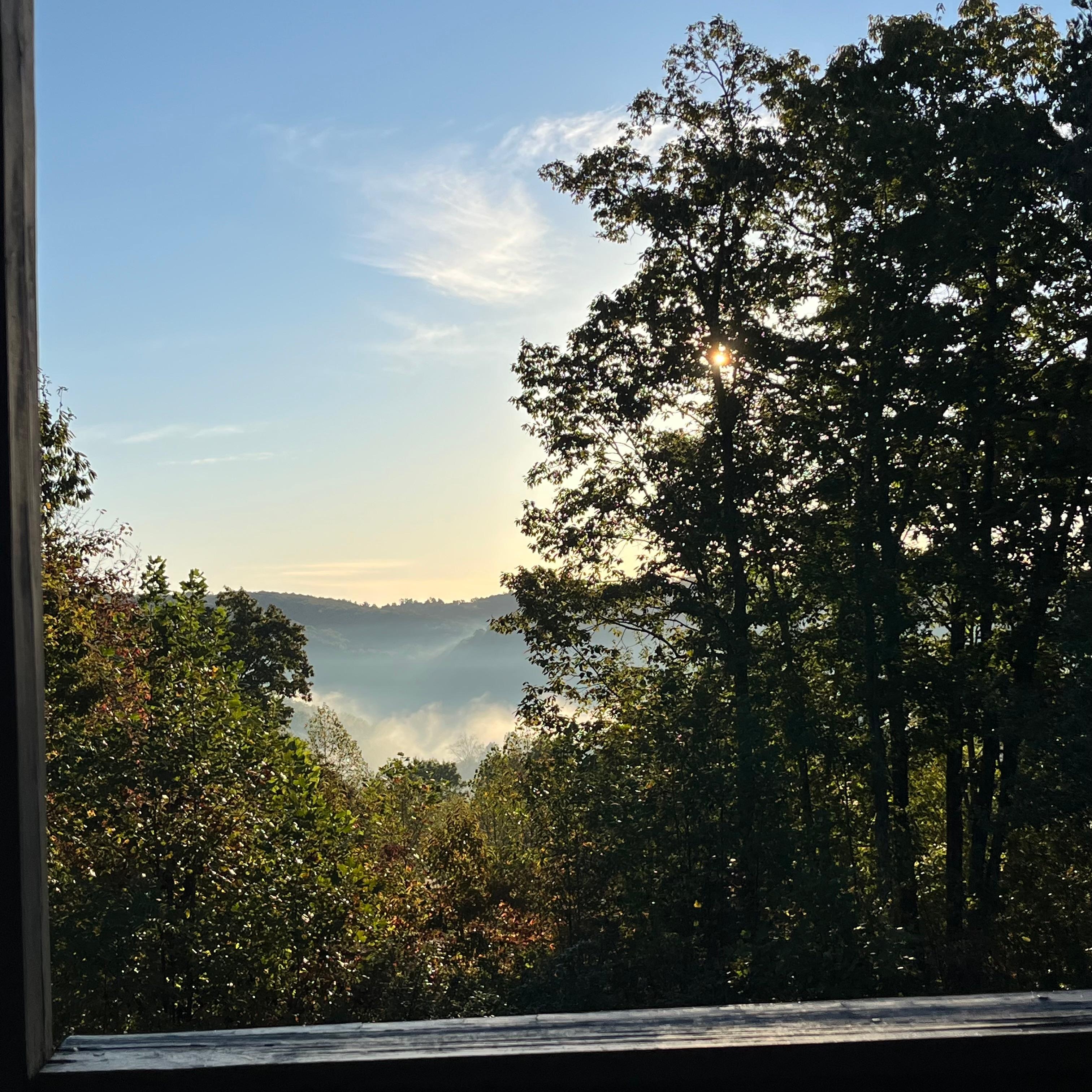 View in the morning back porch