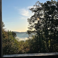 View in the morning back porch