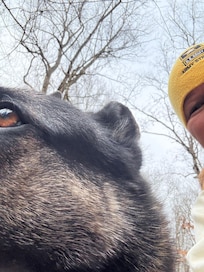 There was a great side road that my dog and I walked several times a day. We were even able to listen to water running down the creek as we walked.