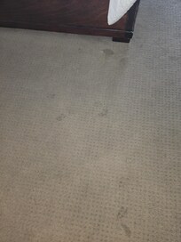 All carpet looked as pictured