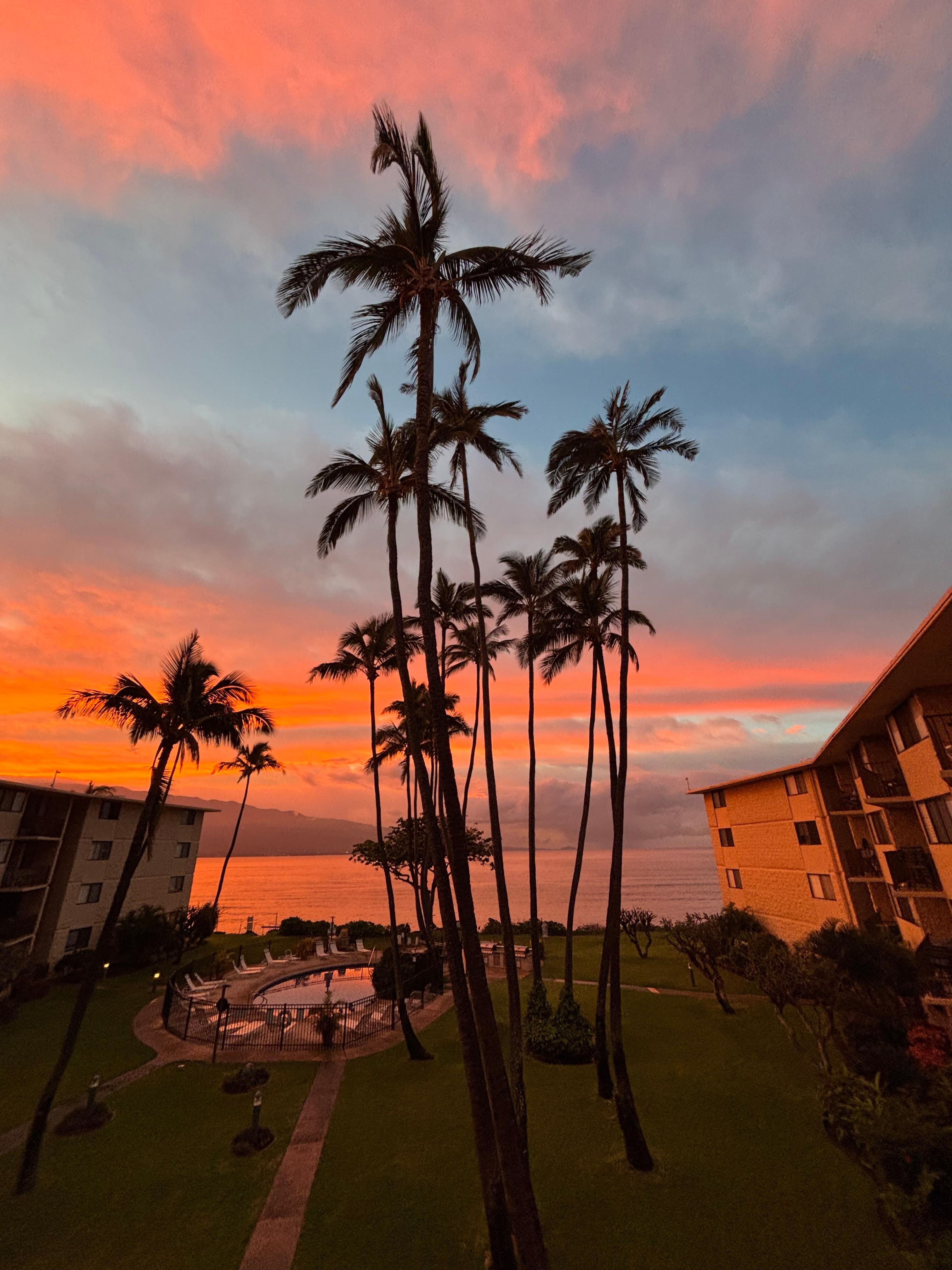 Sunrise from the lanai 