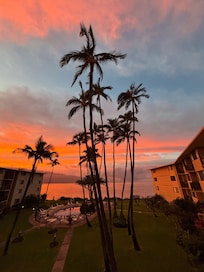 Sunrise from the lanai