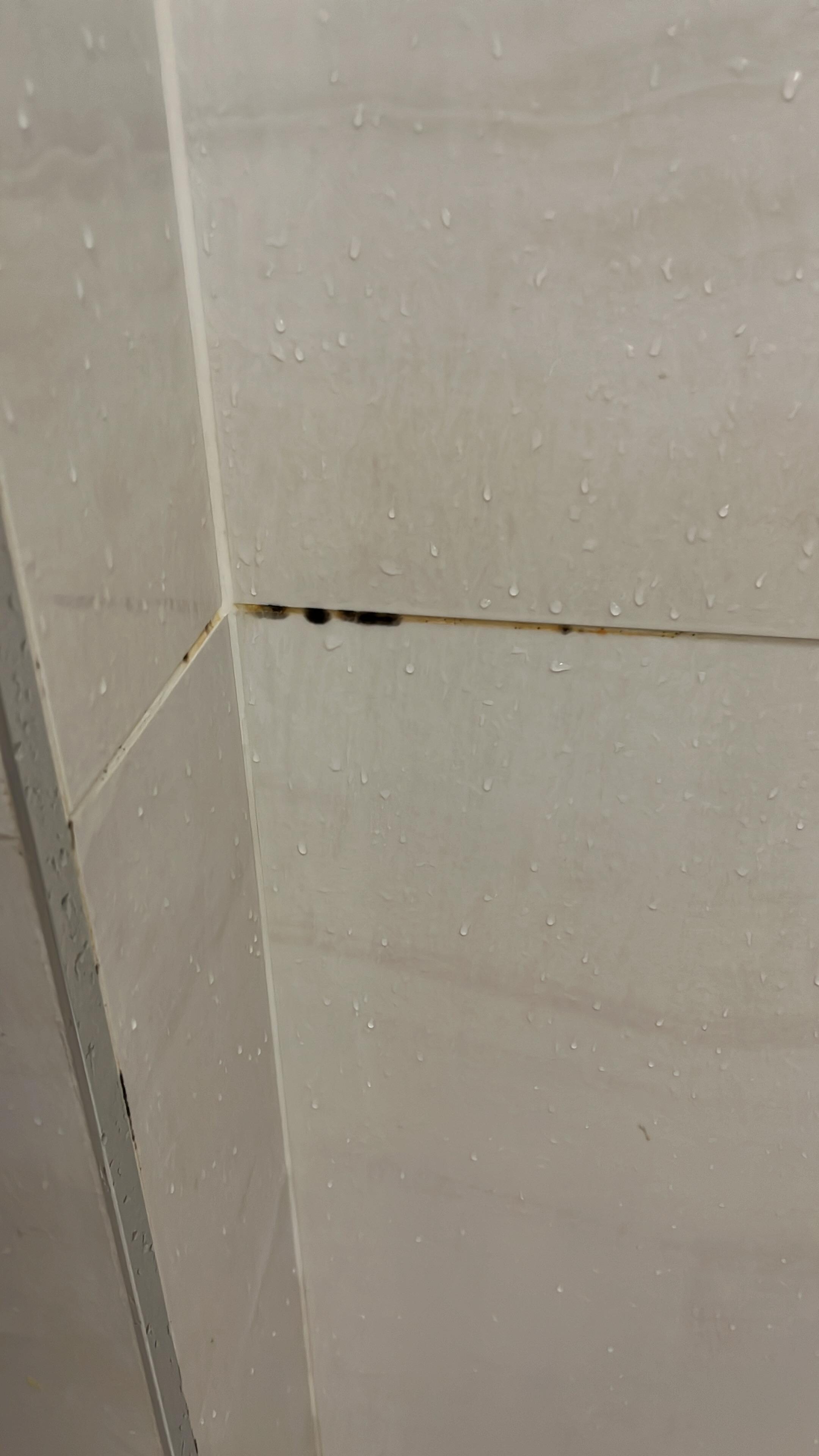 Mold