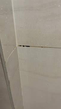 Mold