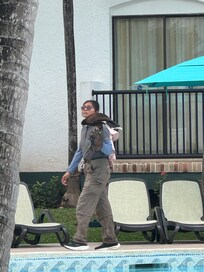 House Falcon to keep birds away from pools (food)
No birds ever bothering us!