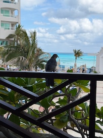 I made friends with this bird.