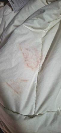 One of the many stains