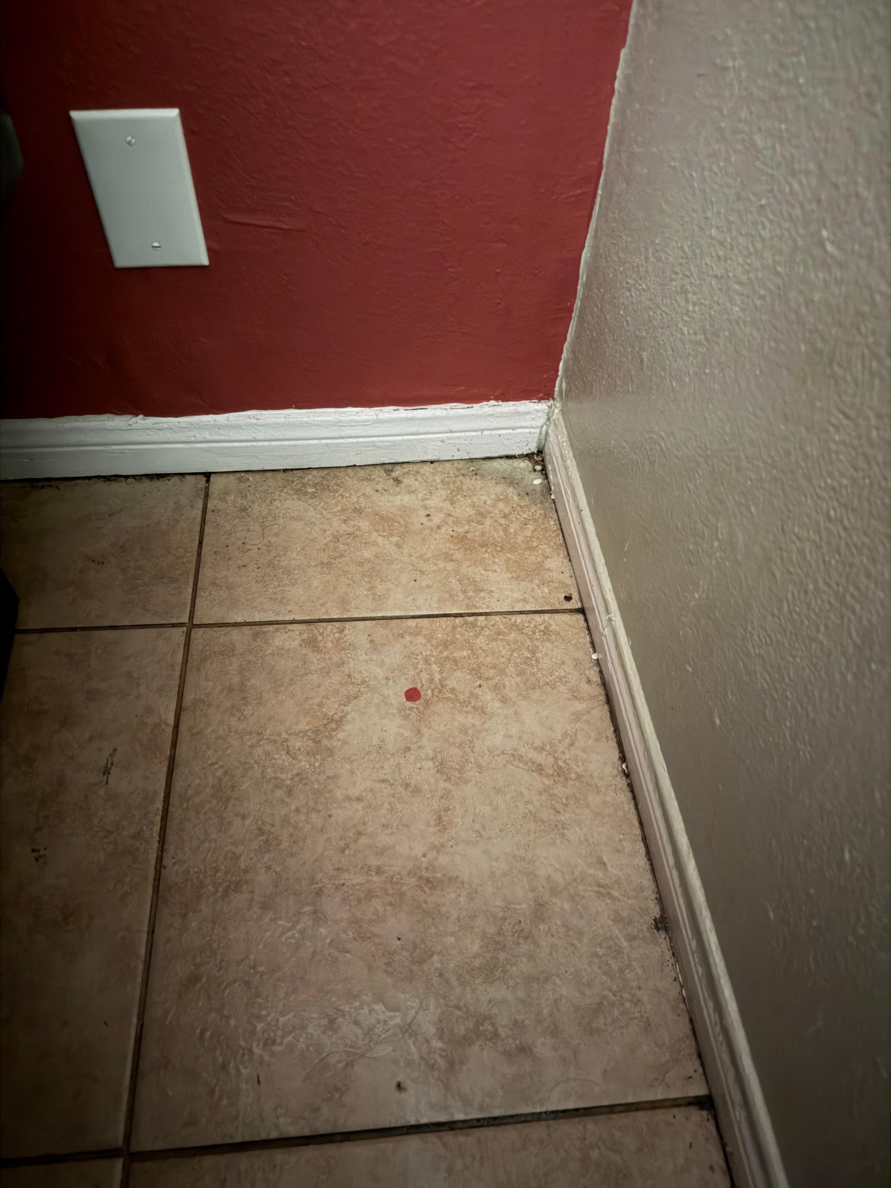 Water on floor where roof leaked all night