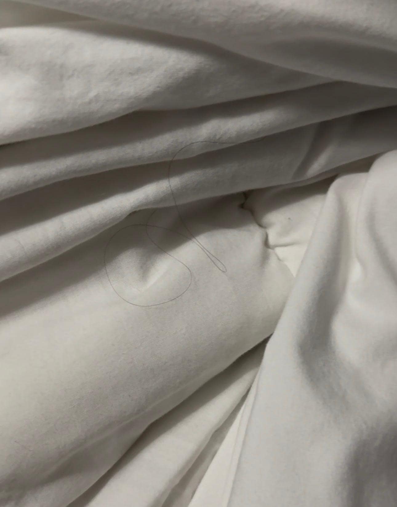 Hair packed under the sheets 