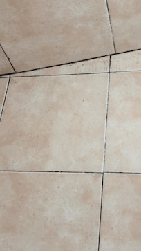 Área de la regadera con moho