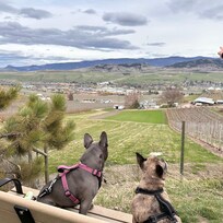 Taking the view of Vernon from the Grey Canal trail, Turtle Mountain