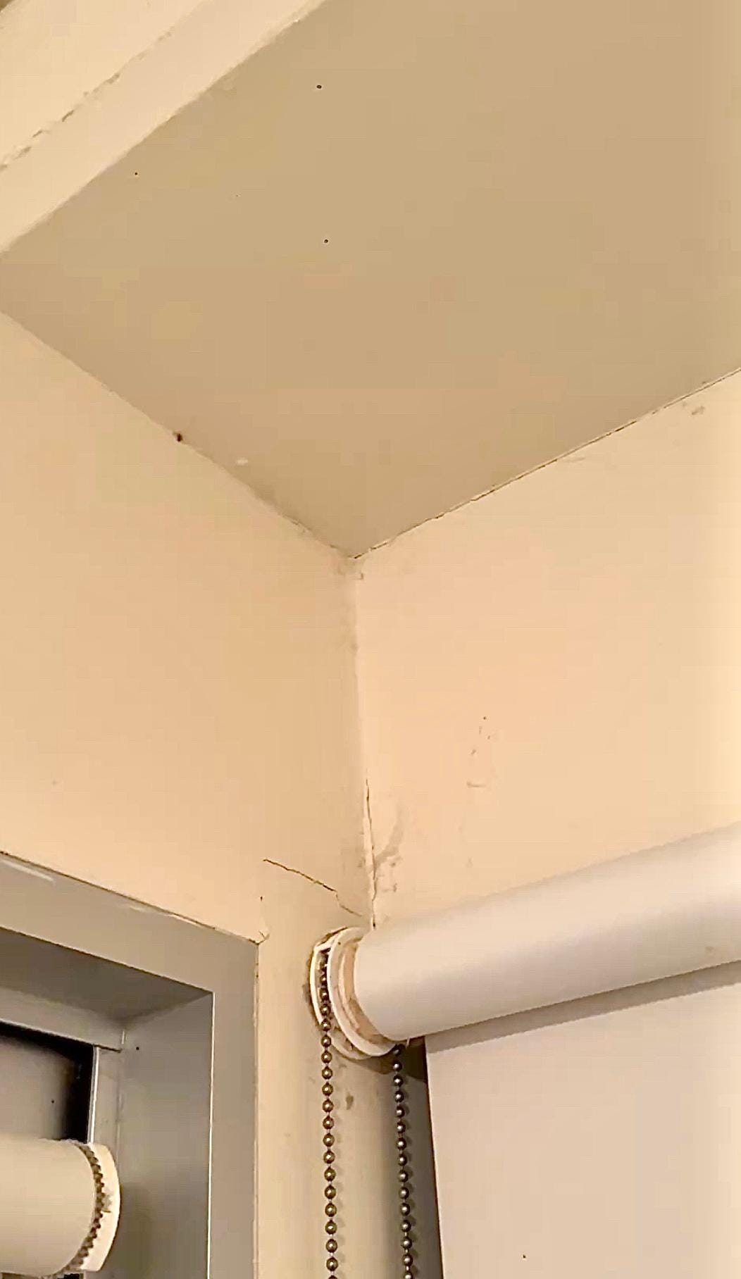 Dust/ spider web?