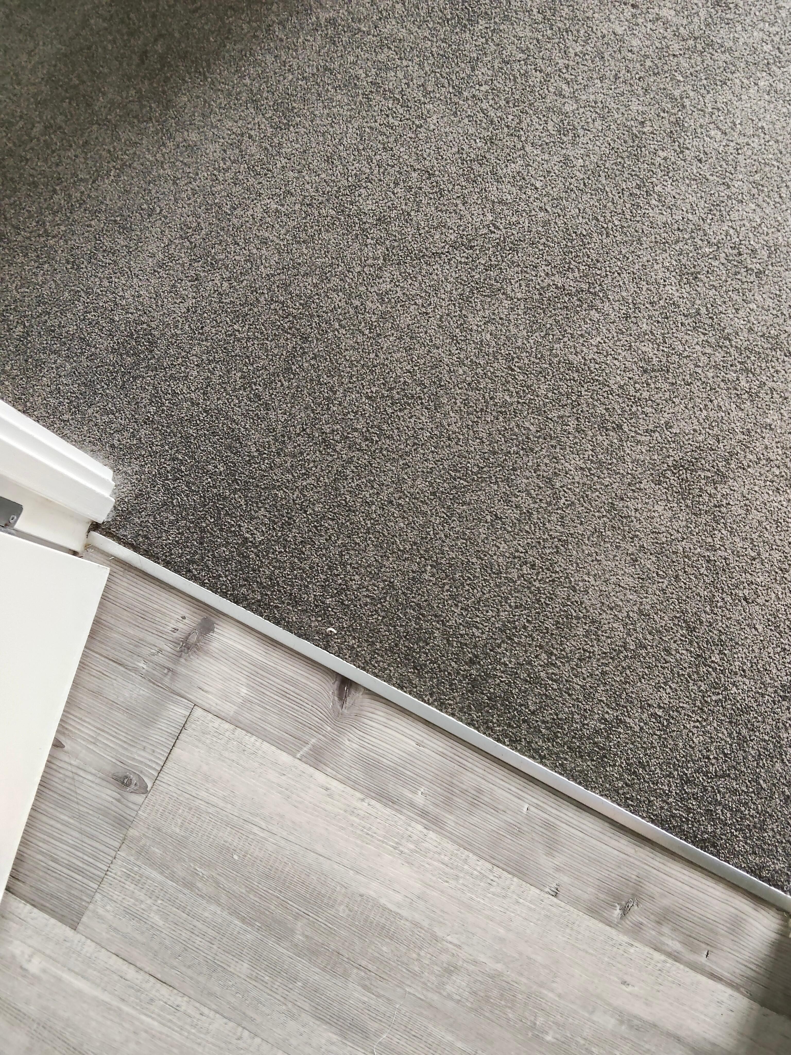 Large toe nail directly Infront of bathroom entrance