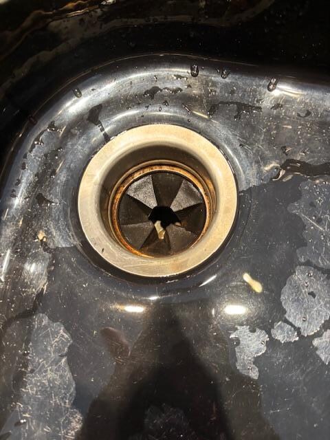 Disgusting sink 