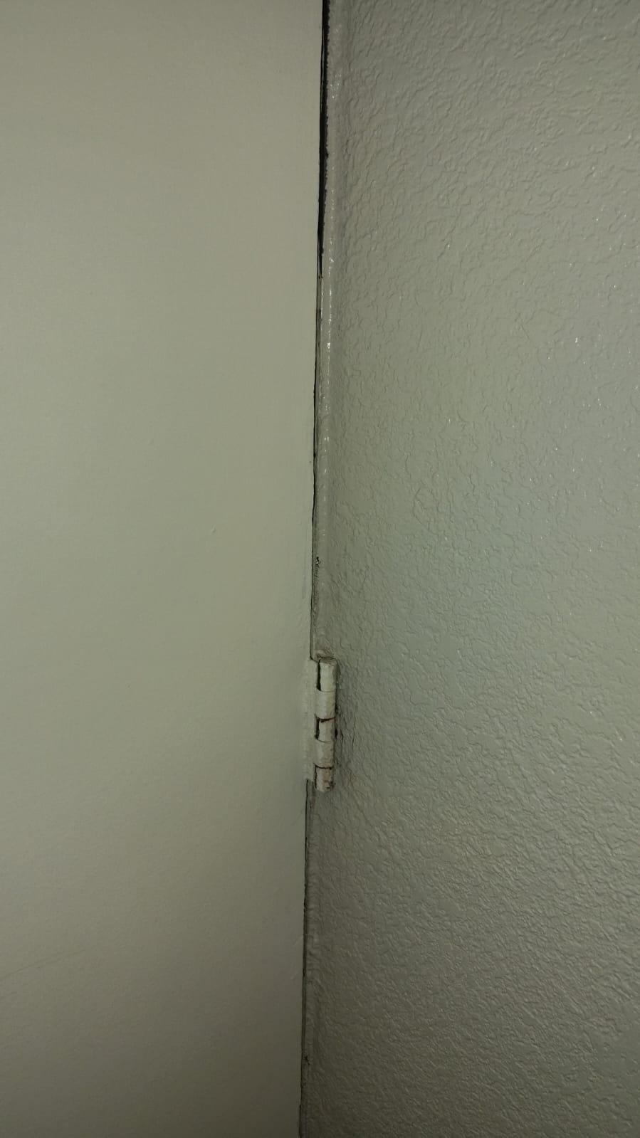 Rusty door hinges 