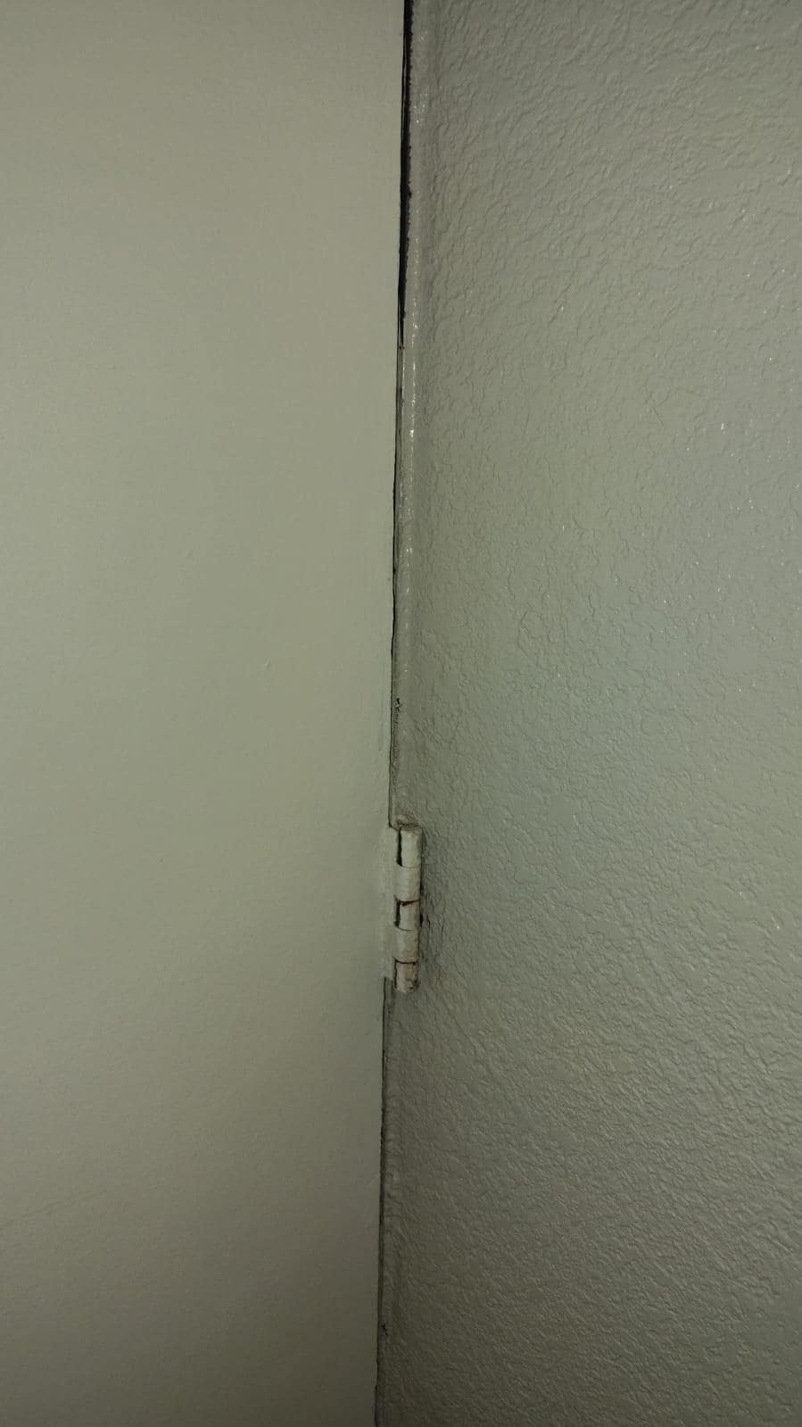 Rusty door hinges