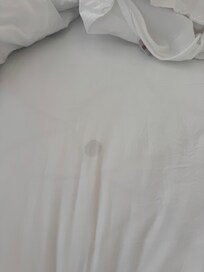 Period stain under the clean sheets ( on the matress protector)