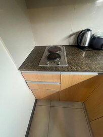 The nasty electric stove that smelled when turned on.