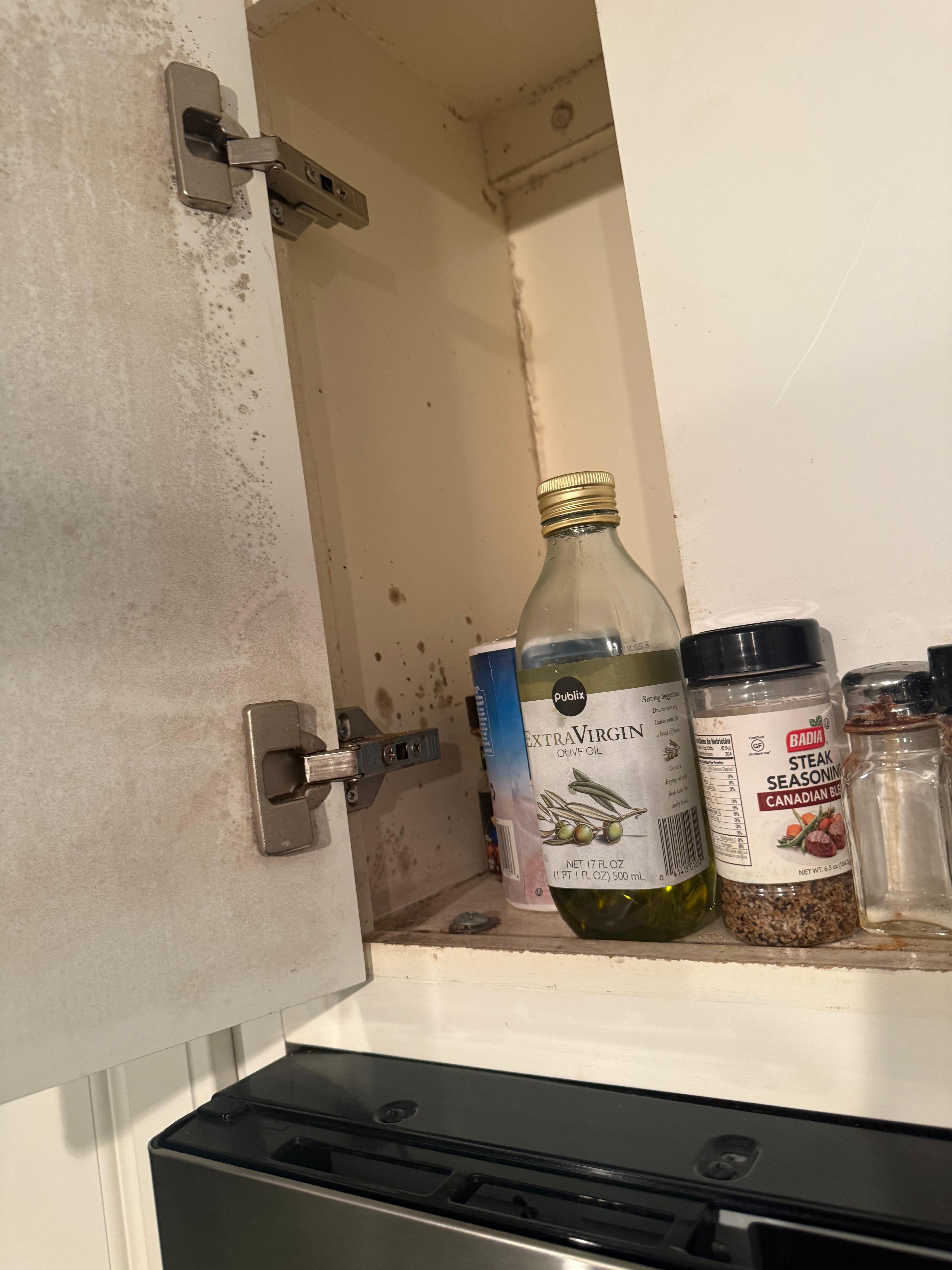 Black mold 
